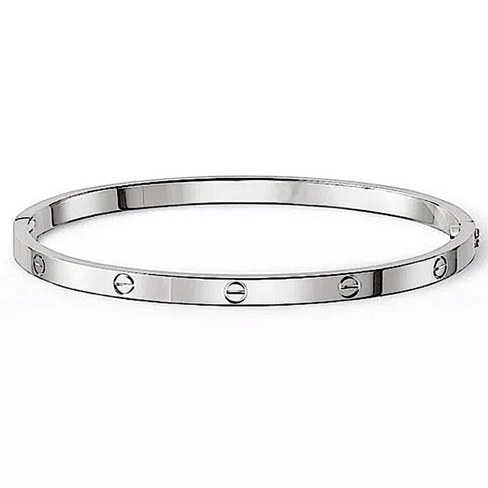 Platinum Bangle Bracelet without Stones Thin Version Stainless Steel Silver